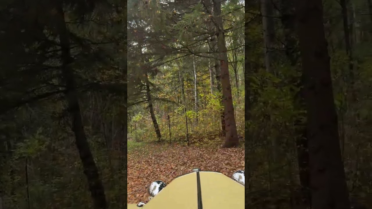 1952 MG TD Roadster 4-Speed Manual, Restored