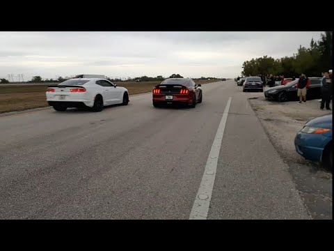 Ford mustang Gt350s vs Chevrolet Camaro ss 1le drag races.