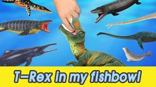 [EN] #54 Let's raise T-rex in my fishbowl! kids education, Dinosaurs animationㅣCoCosToy