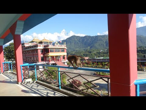 Shanti vibes - Road to Nepal