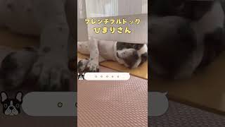 【フレブルVlog】嫌われたかも😭#shorts