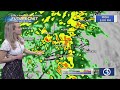 FORECAST Weather Improves Over The Rest Of The Holiday Weekend
