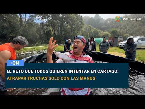 El reto que todos quieren intentar en Cartago: atrapar truchas solo con las manos