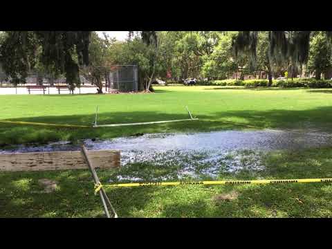 Water floods from manhole in Forsyth Park (Video 2)