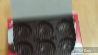 ピノのクローバー🍀