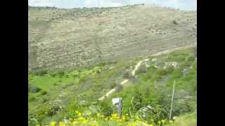 preview picture of video 'Vespa Adventures: Israel, Moshav Nataf'