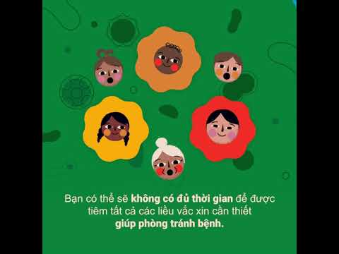  CÔNG TY TNHH THƯƠNG MẠI DỊCH VỤ LABO VẠN PHÁT