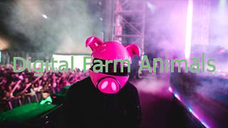 Digital Farm Animals - Lookin&#39; For(lyrics)