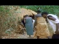 Among The Wild Chimpanzees National Geographic