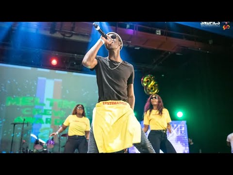 MELTING CREW AWARDS 2019: SYSTEMATIQUES