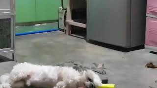 Download lagu Chloudy mp3