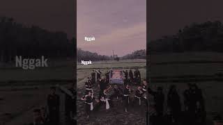 Download lagu PSCP JAYA//story wa mp3