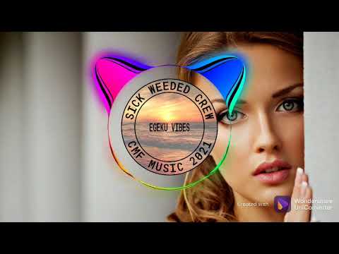 ALAN WALKER - Next To Me  Pakx ReMix