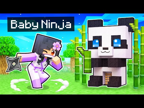 Aphmau - My BABY Ninja's STEALTH Minecraft Base!