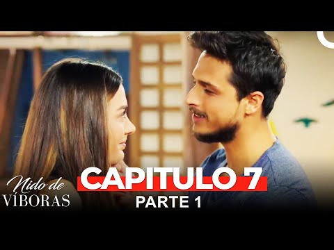 Nido De Víboras Todos Los Capítulos 7 Parte 1