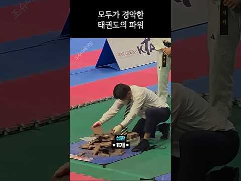 모두를 놀라게 한 태권도의 힘