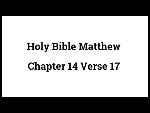 Holy Bible Matthew 14:17