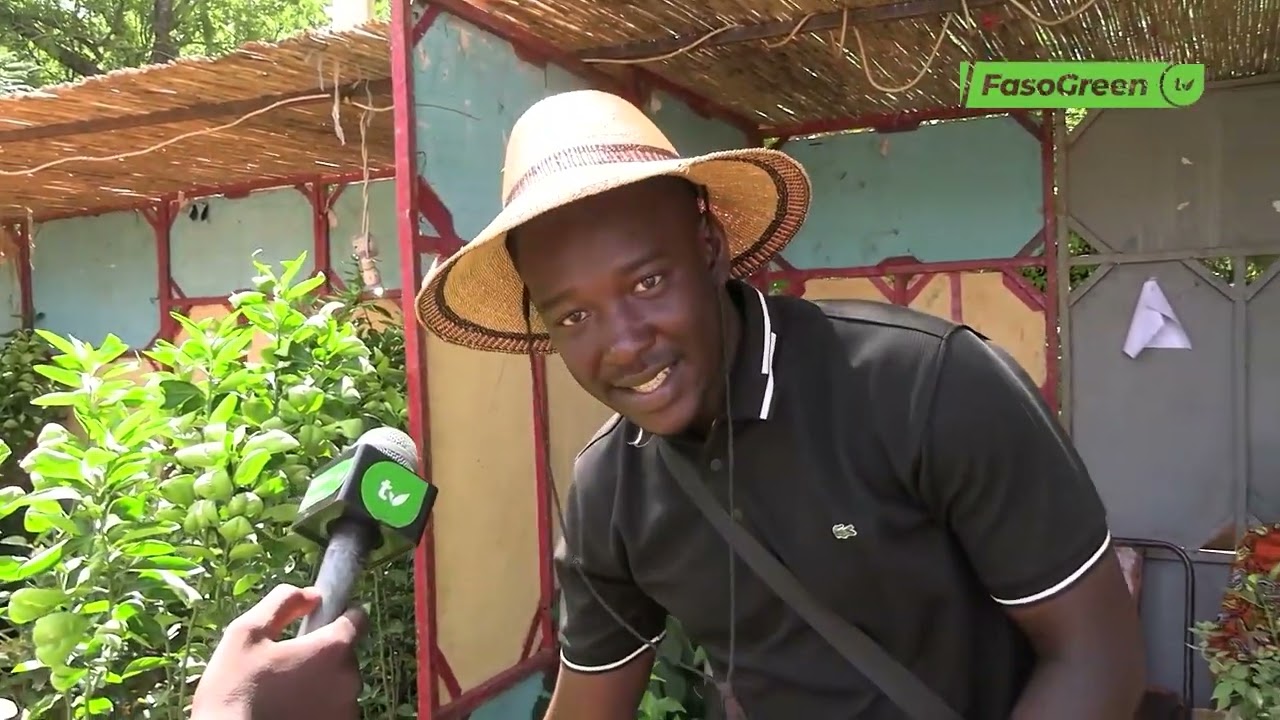 Vente de plantes : à la rencontre de Monsieur Vert