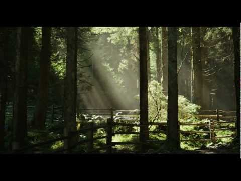 Director's Showreel - Tobias Linden (2013)
