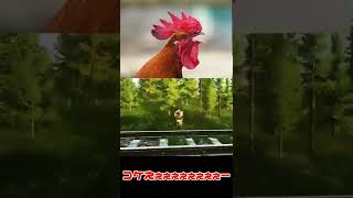 【EFT】フラグ回収建築士 #shorts【砂糖しろは/個人VTuber】
