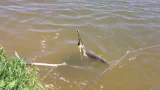 Рыбалка в ростове на дону ростовское море