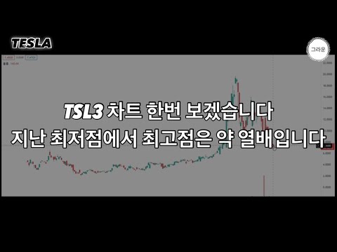 TSL3 차트 한번 볼게요 지난 저점에서 최고점은 거의 10배입니다.