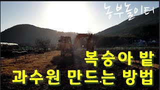 복숭아 밭 만들기 Peach field making