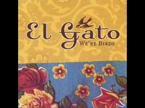 El Gato - Stained glass windshield