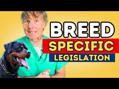 Why Breed Specific  Legislation Is Wrong