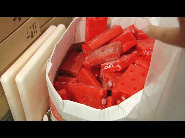 Испытания новой вакцины от туберкулеза