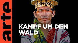 Video-Thumbnail von YouTube