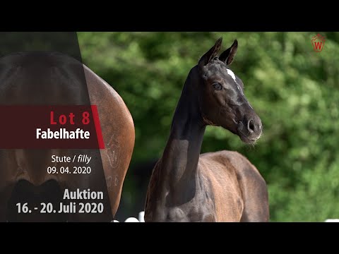 Westf. Online Auktion 16. - 20. Juli: Lot 8 Fabelhafte Stute v. Fashion in Black NRW - Franziskus