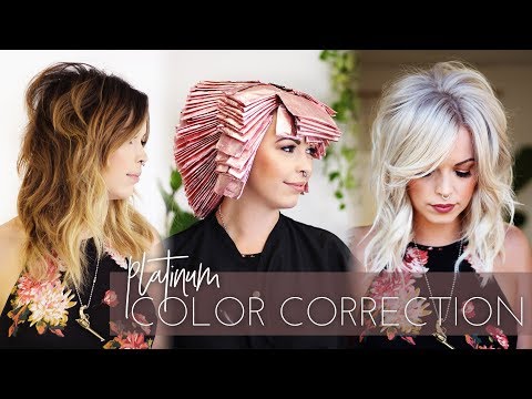 Platinum Blonde Color Correction | Brunette to White in one Appointment! (Full Technique)