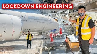 What Really Goes On Inside The Grounded Planes and Engineering?