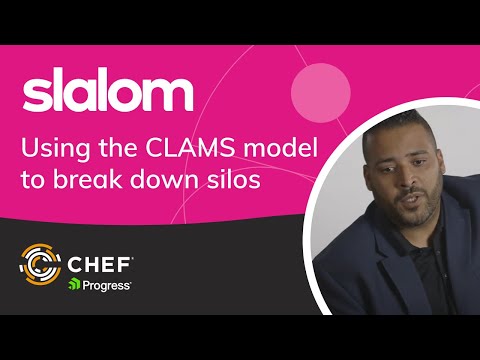 Using the CLAMS model to break down silos
