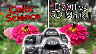 Video thumbnail for Color Science CANON 5D Mark ii vs NIKON D700 | Which Is Best? by Bill Lawson