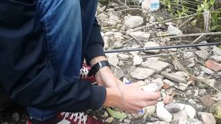 preview picture of video 'peshkimi i mlyshit shtime 15.06.2014'