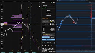 NQ/NDX 24/5 Live Trading Feed: 0DTE Gamma, Big Trades, Magic Zones