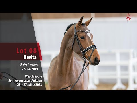 Springyoungster Auktion Lot 08 Devita Stute v.  Dembelé L - Potsdam