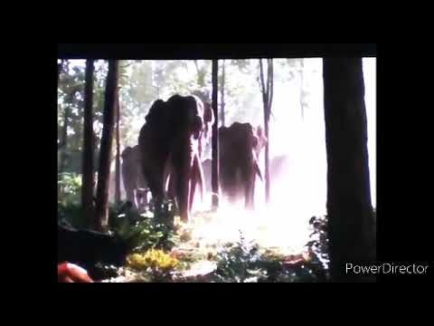 The Mountain Lion King (CartoonNetworkandHasbroFan360 Style) - Circle of Life