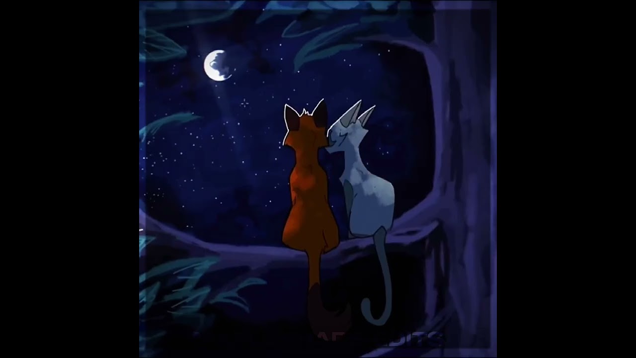 [#warriors]~edit || all the birds of a feather || #viral #warriorcats #fyp #cats #edit