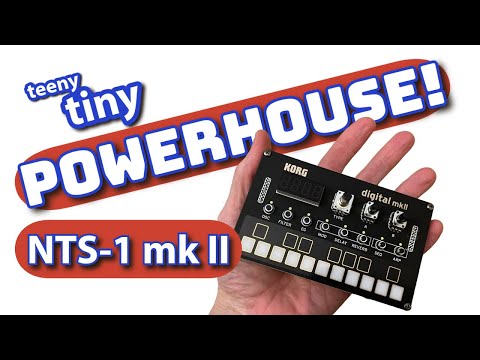 Get To Know Korg NTS-1 mkII - SOUND DEMO & narration of synth engine & effects