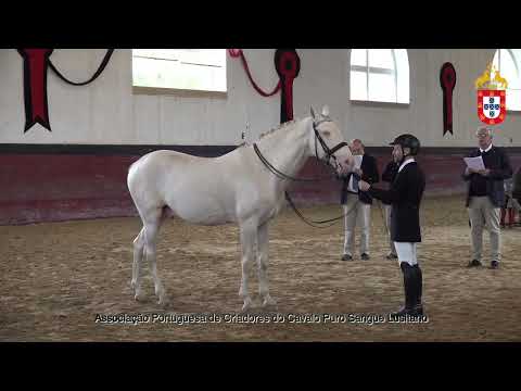 231021 27 Diestro - Aprovação de Reprodutores