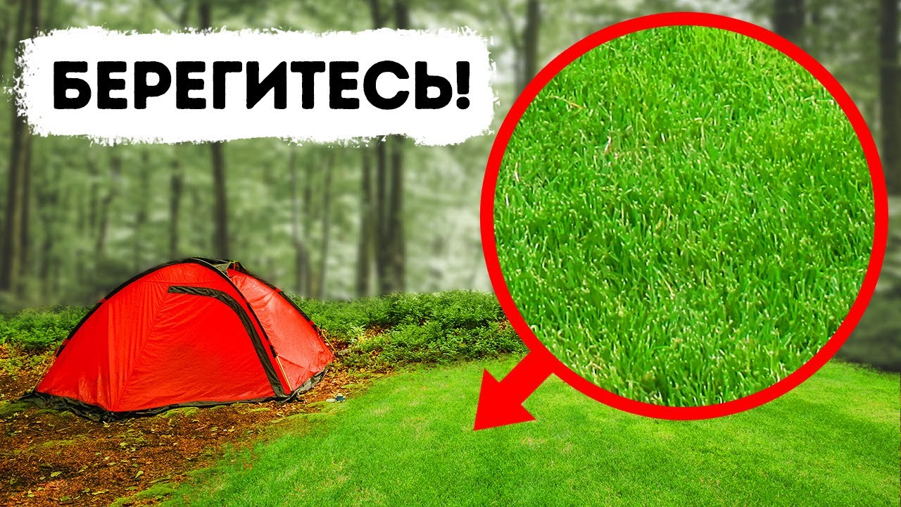 Если в лесу вы набрели на открытое пространство, уходите оттуда немедленно