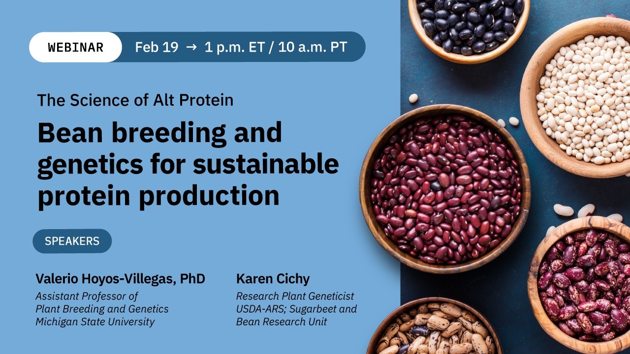 Dr. Valerio Hoyos-Villegas: Bean breeding and genetics for sustainable protein production