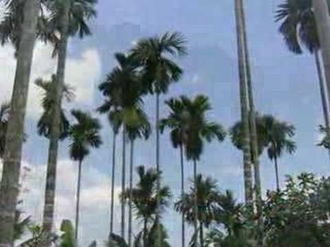Thể hiện bởi Diệu Hiền