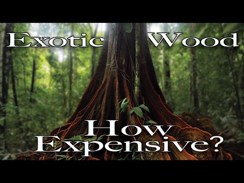 10 Most Expensive & Rare Exotic Wood Species?