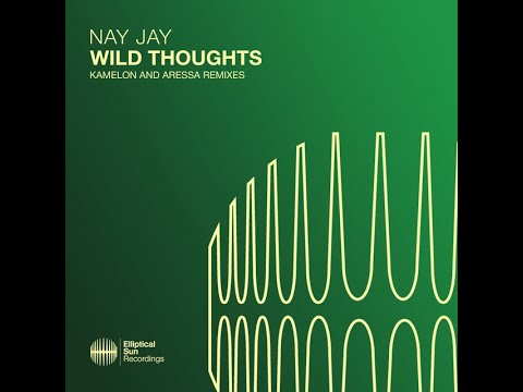 Nay Jay, Kamelon - Wild Thoughts  (Kamelon Remix)