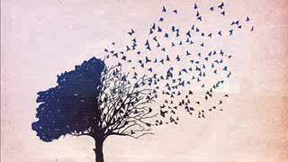 Julianna Barwick - Flown (The Magic Place)