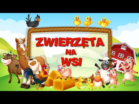 Zwierzęta na wsi film edukacyjny dla dzieci 👦